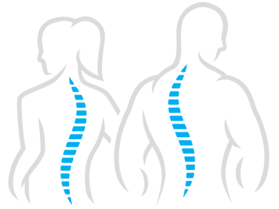 Spine-figures.png Spine-figures.png